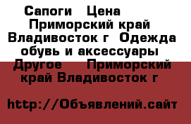 Сапоги › Цена ­ 100 - Приморский край, Владивосток г. Одежда, обувь и аксессуары » Другое   . Приморский край,Владивосток г.